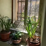 Casa Maria * Verbania